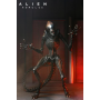 Чужой Ромул игрушка фигурка Alien Romulus Alien Xenomorph