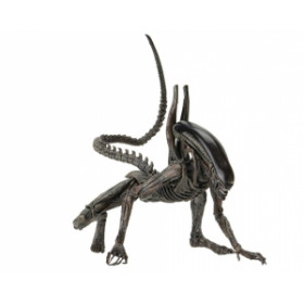 Игрушка фигурка Чужой 18см Xenomorph NECA Alien